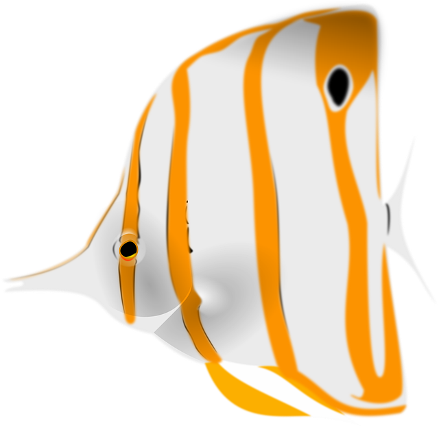 Free fish sea life animal vector