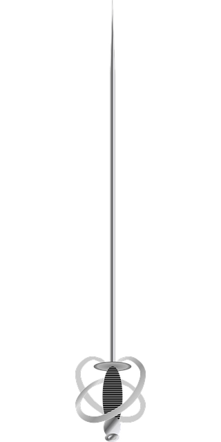 Free hilt rapier sword vector