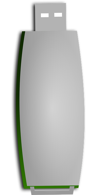 Free flash computer data vector