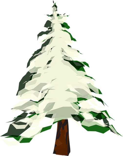 Free tree fir snow vector