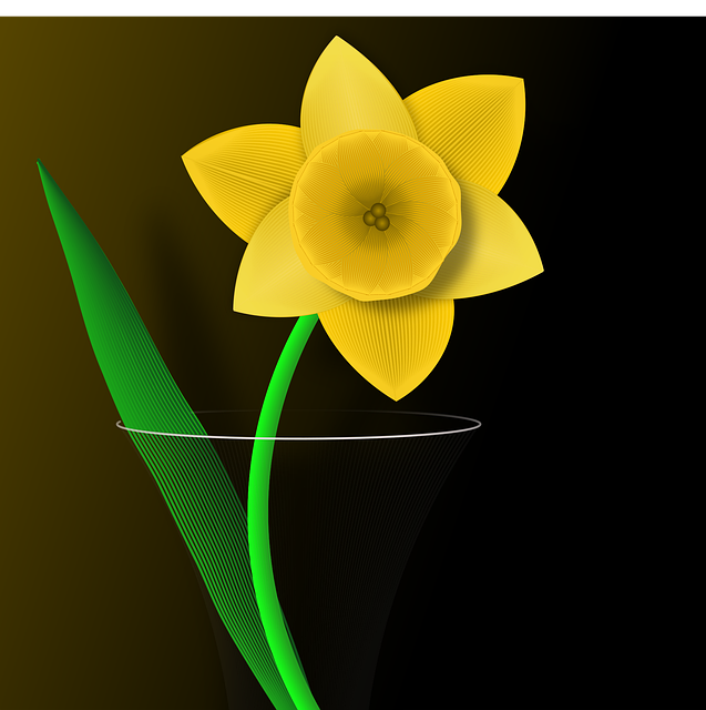Download free HD stock image of Daffodil Flower Wallpaper Free daffodil flower wallpaper flower vector
