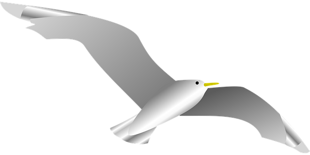 Free dove naval bird vector