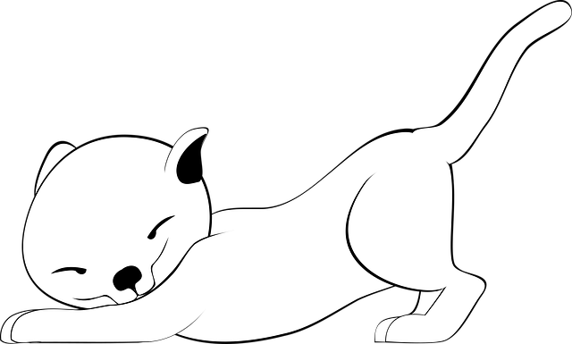 Free cat pet cute vector