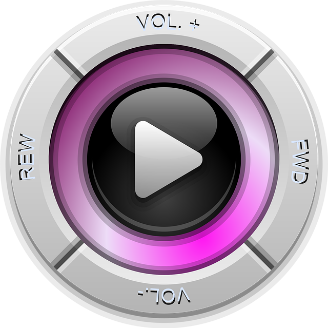 Free play button volume vector
