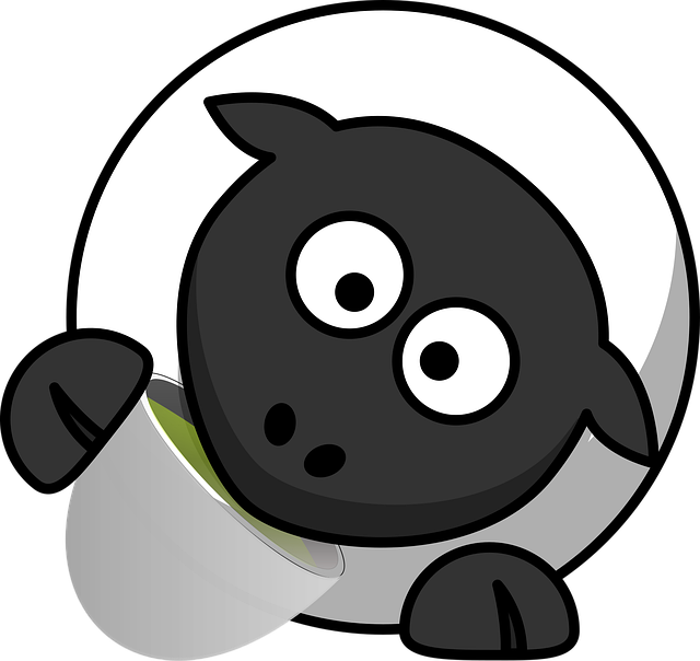 Free sheep animal drinking illustration