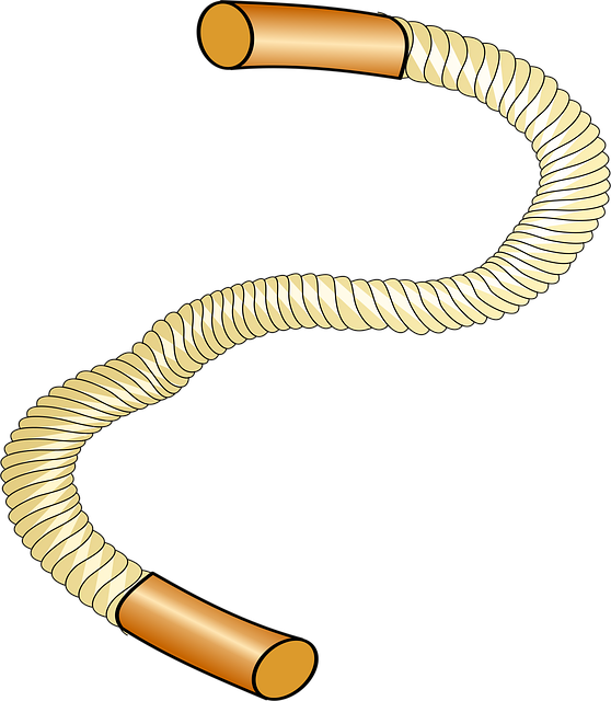 Free rope cord thick vector