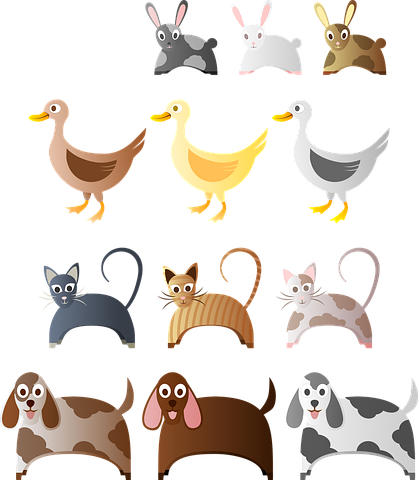 鴨 画像 無料画像をダウンロード
