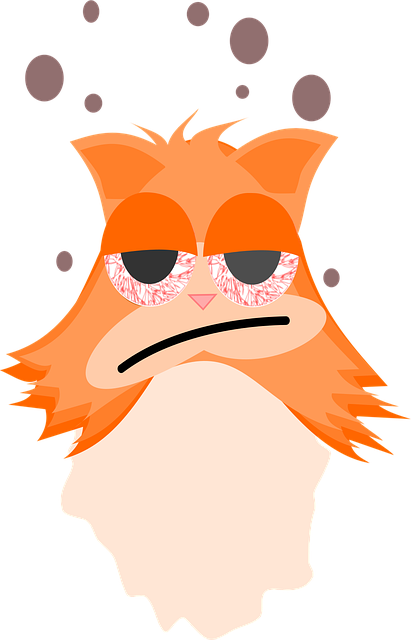 Gato, Animal, Natureza, Triste