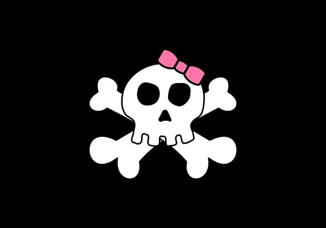 Download free HD stock image of Flag Face Free flag face skull vector