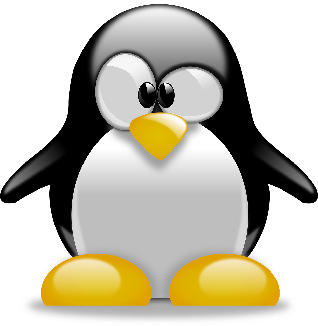 Linux Penguin Png