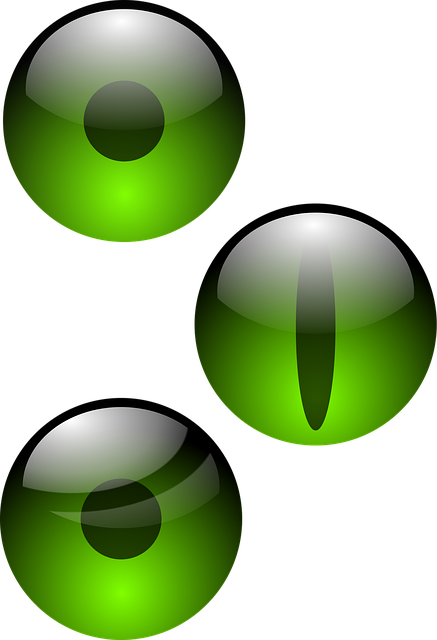 Free eyes pupil eyeball vector