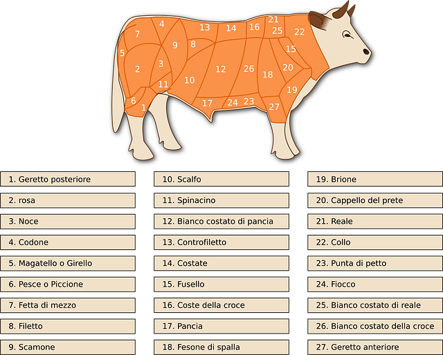 Carne De Res, Vaca, Cortes, Carne