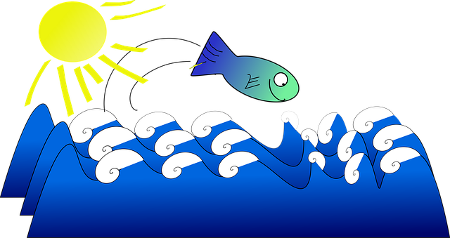 Fische, Ozean, Sonne, Glücklich, Tier