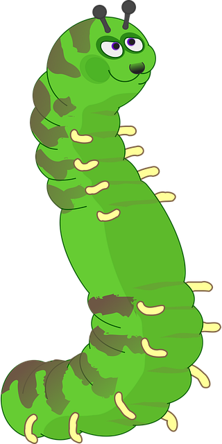 Oruga, Verde, Contento, Animal