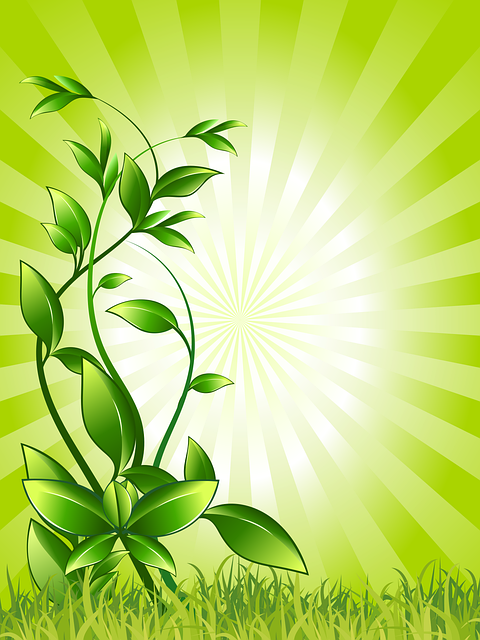 Download free HD stock image of Plant Nature Free plant nature green vector