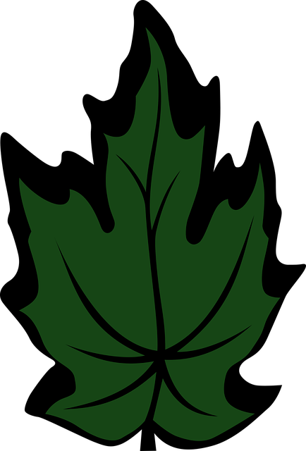 Free maple leaf maple green vector