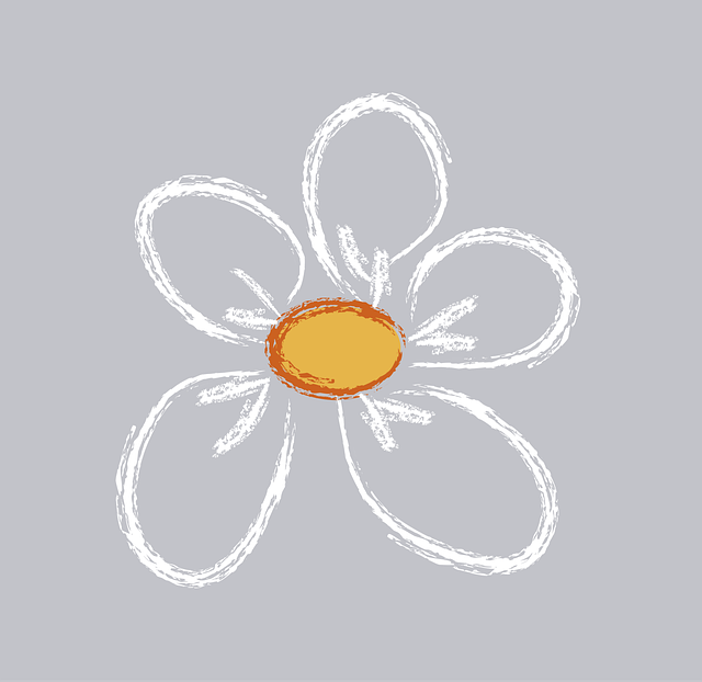 Free daisy flower margarita vector