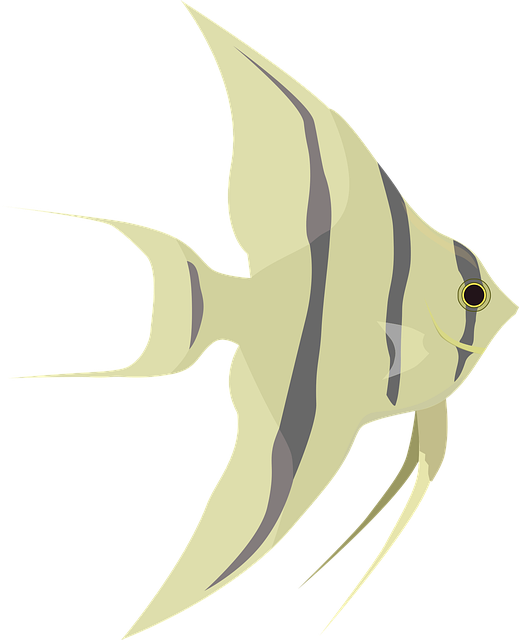 Free animal nature fish vector