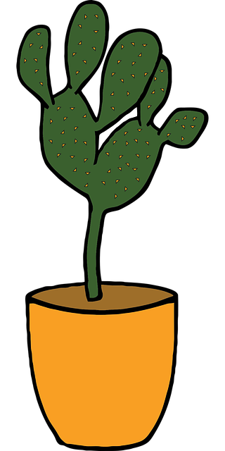 Free cactus plant green vector