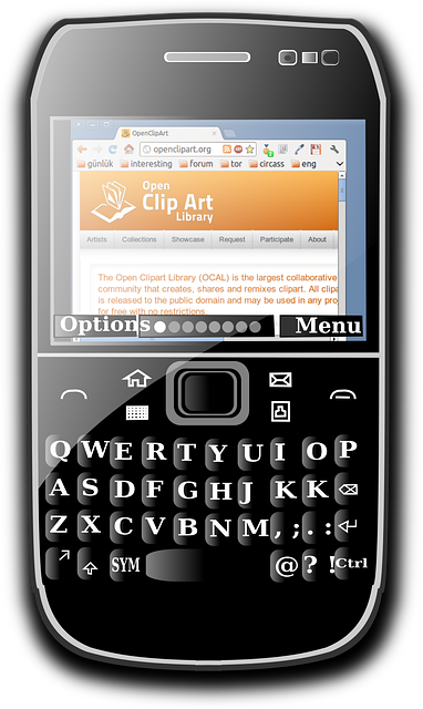 Free blackberry smartphone calling vector
