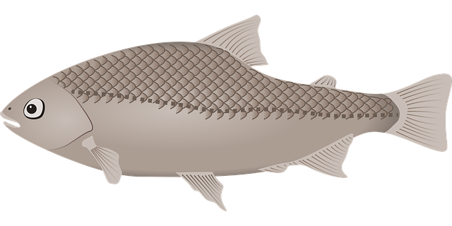 Free fish water nature vector