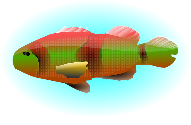 Free animal colorful fish vector
