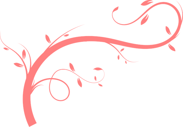 Flores, Classificação, Planta