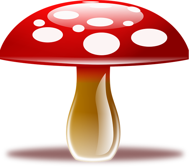 Amanita Muscaria, Fluesopp, Sopp