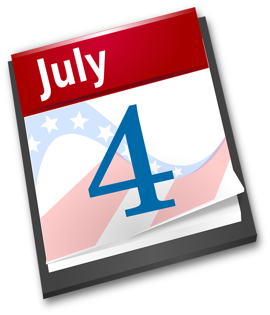 Free independence day usa america vector