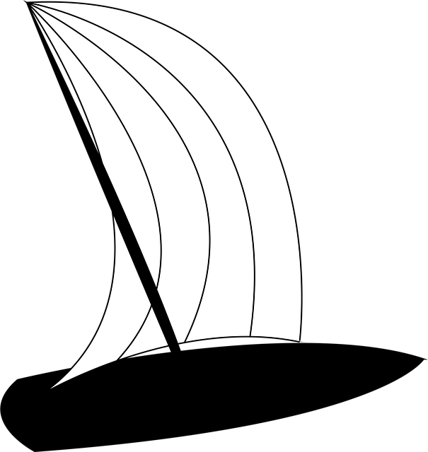 Free windsurfer windsurfing board vector
