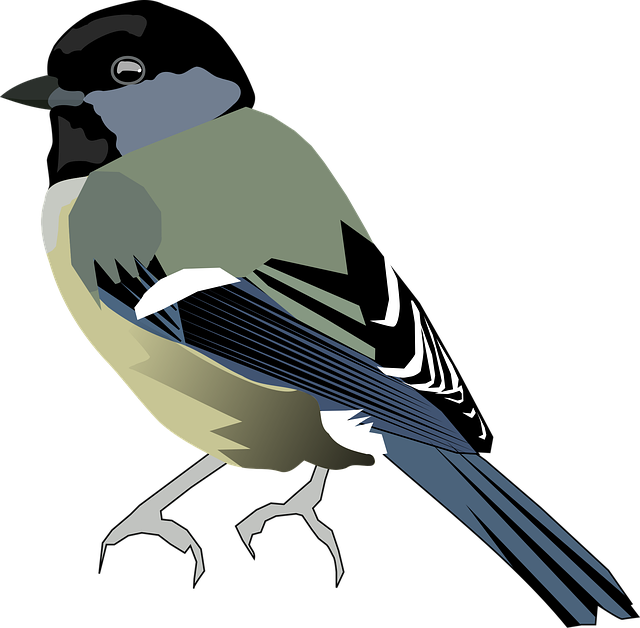 Free bird nature chickadee illustration