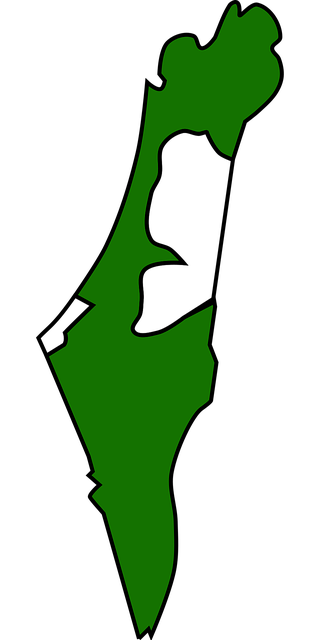 Free israel jewish palestine vector