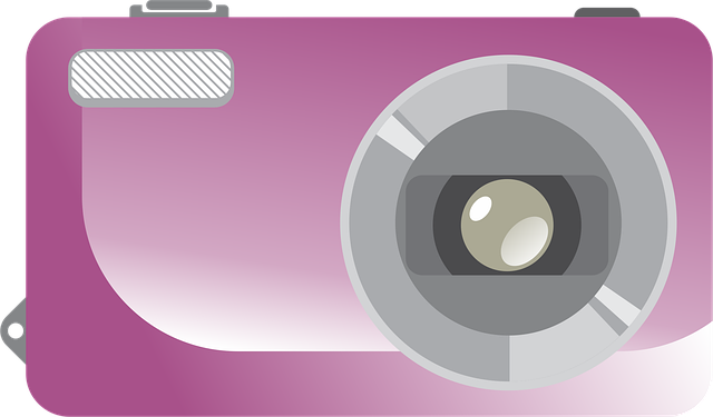Free camera flash purple vector