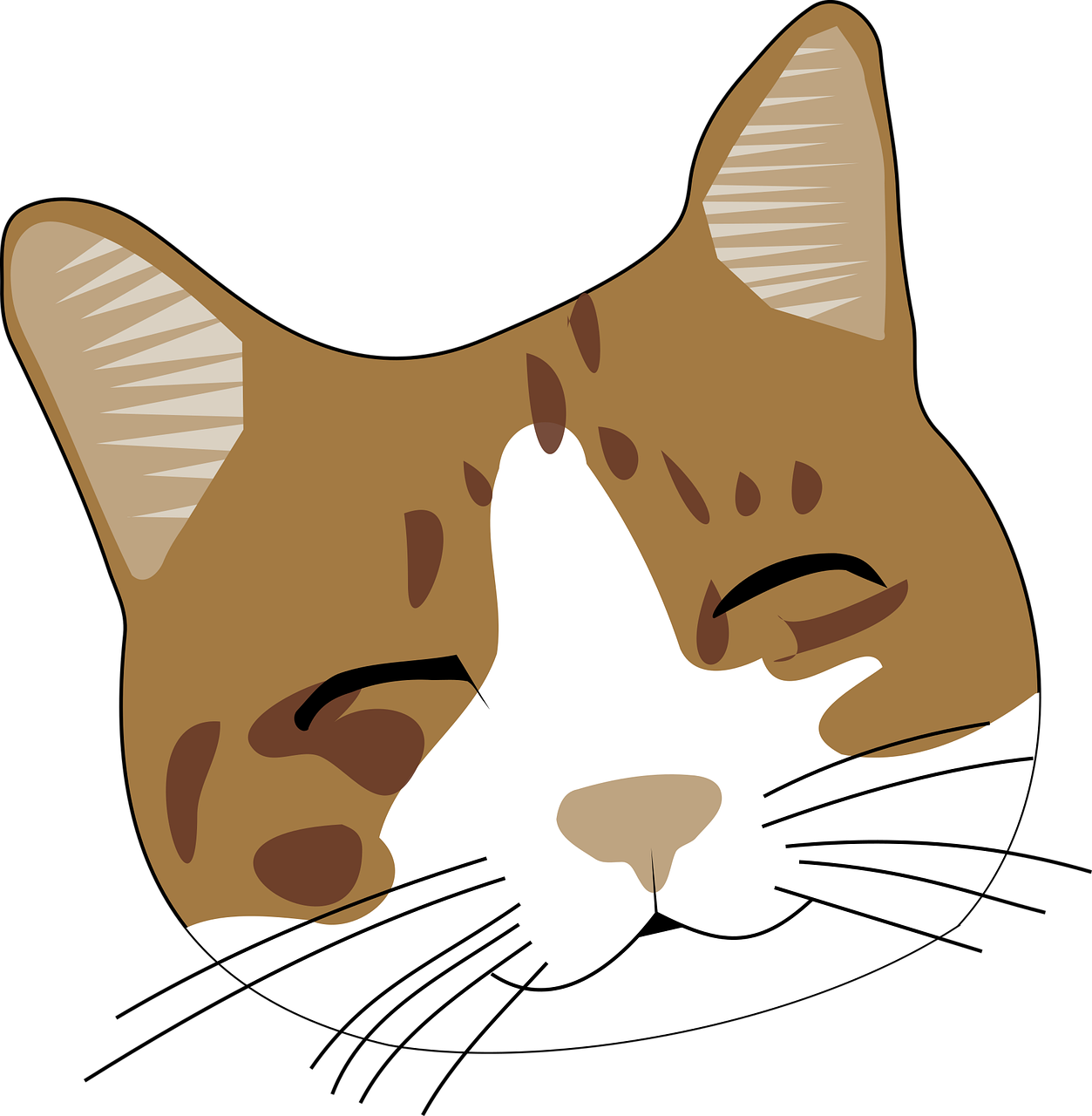 Katze Gesicht Niedlich Kostenlose Vektorgrafik Auf Pixabay Pixabay