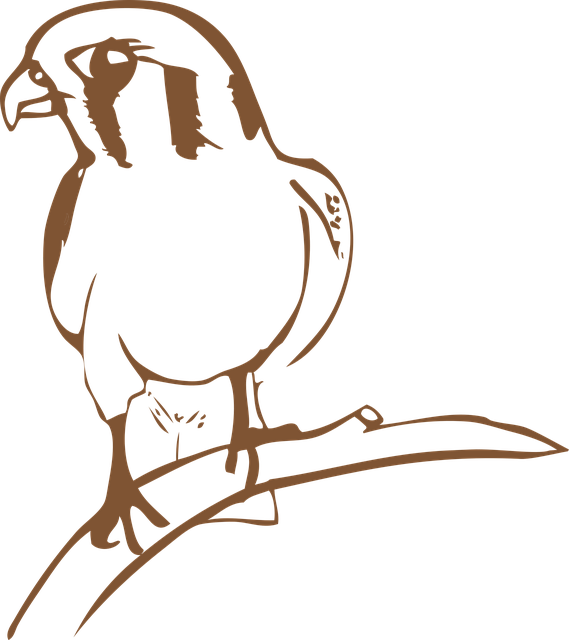 Free animal bird nature vector