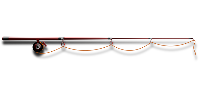 Free rod angling fishing vector