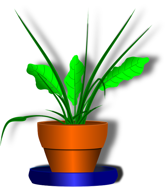 Image Result For Clip Art Bunga Image Result For Clip Art Bunga