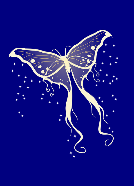 Download free HD stock image of Butterfly Moth Free butterfly moth bright vector