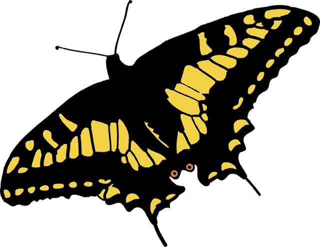 Free Butterfly Nature vector and picture