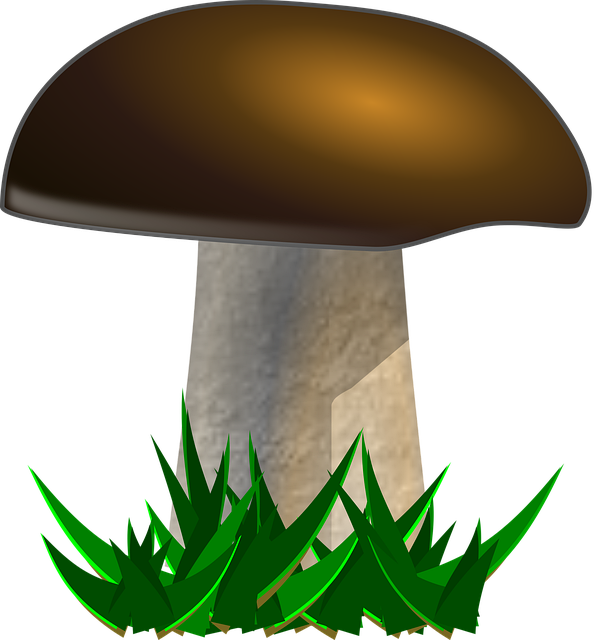 Free mushroom nature yellow boletus vector