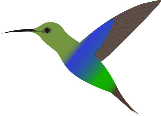1,000+ Free Hummingbird &amp; Bird Images