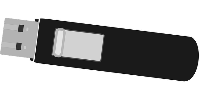 Free chip computer storage vector