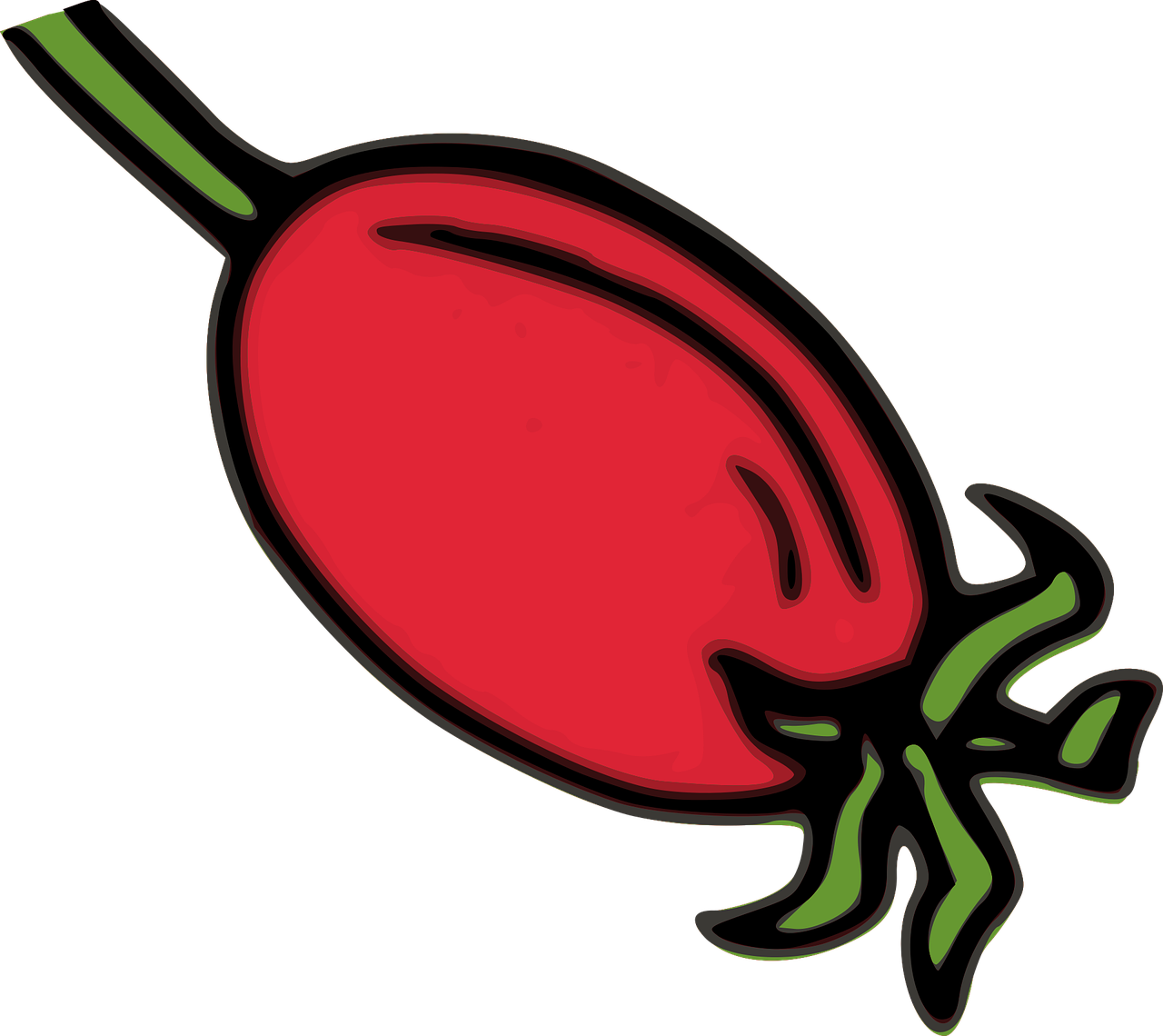Download free HD stock image of Rose Hip Hip Free rose hip hip red vector