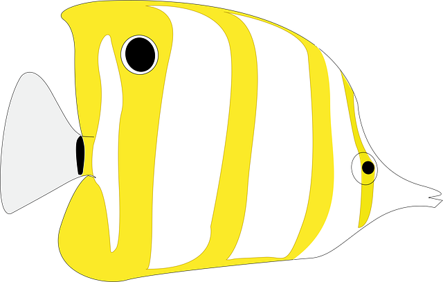 Free fish nature butterflyfish vector
