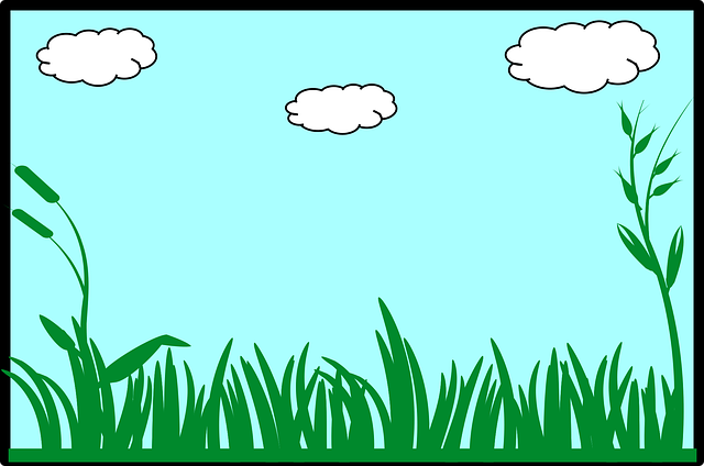 Free grass nature meadow vector