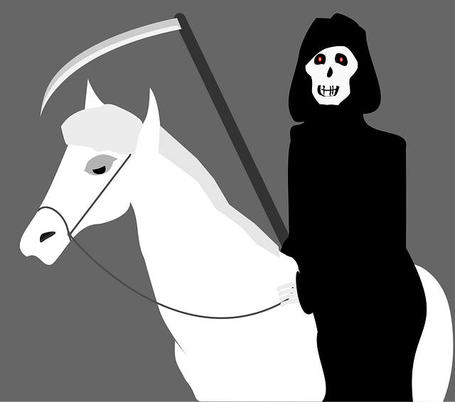Free halloween horse gray horse vector