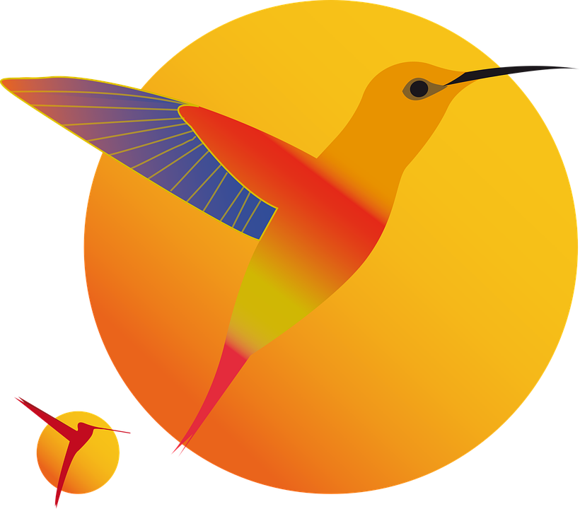 100 Gambar Burung Kolibri Kartun Gratis