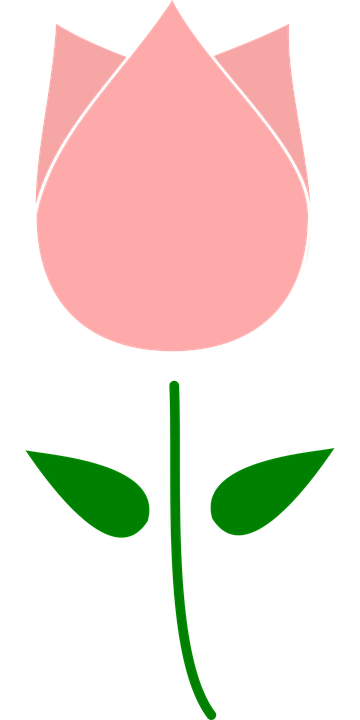 Botão Flor - Gráfico vetorial grátis no Pixabay