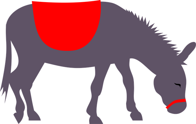 Free Animal Donkey vector and picture