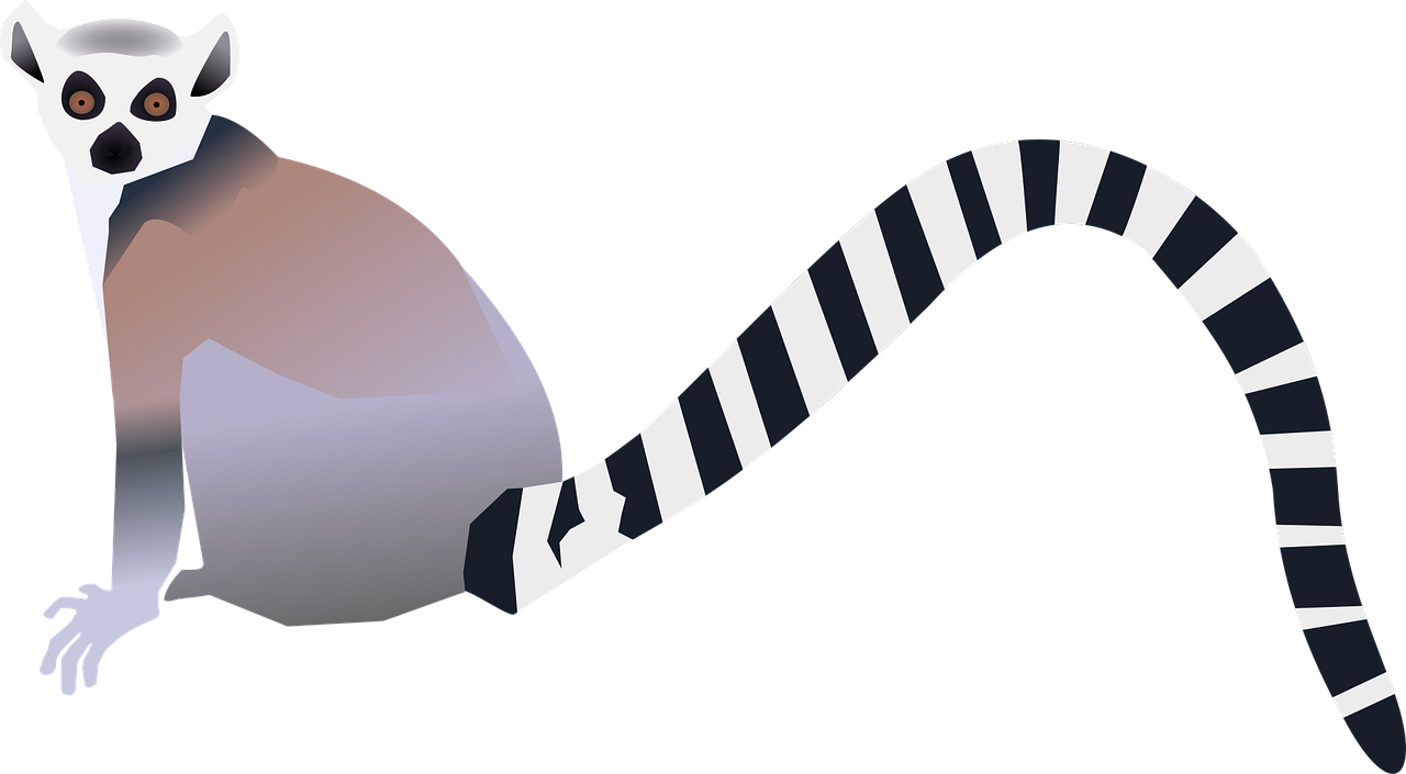 Download Lemur, Primate, Animal. Royalty-Free Vector Graphic - Pixabay